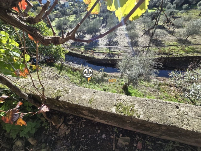 Moradia T6 para Venda em São Vicente da Beira Foto 41