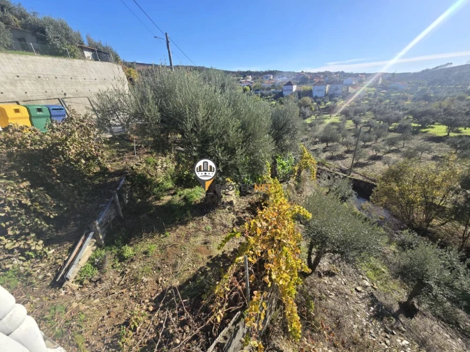 Moradia T6 para Venda em São Vicente da Beira Foto 35