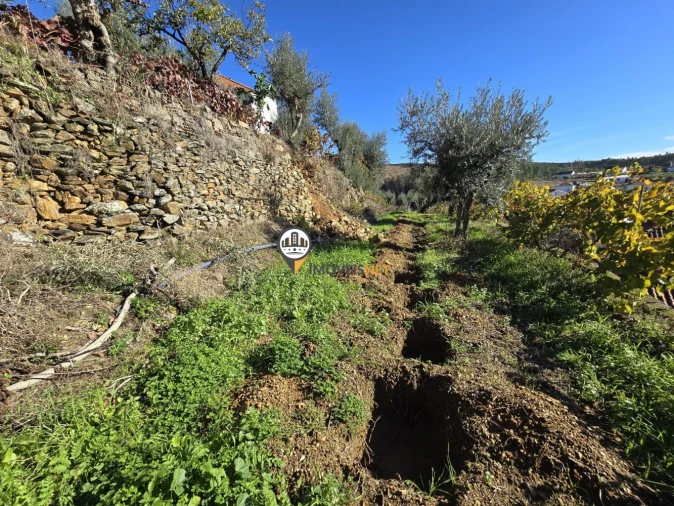 Moradia T6 para Venda em São Vicente da Beira Foto 9