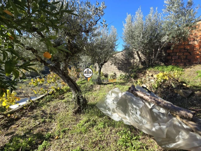 Moradia T6 para Venda em São Vicente da Beira Foto 39