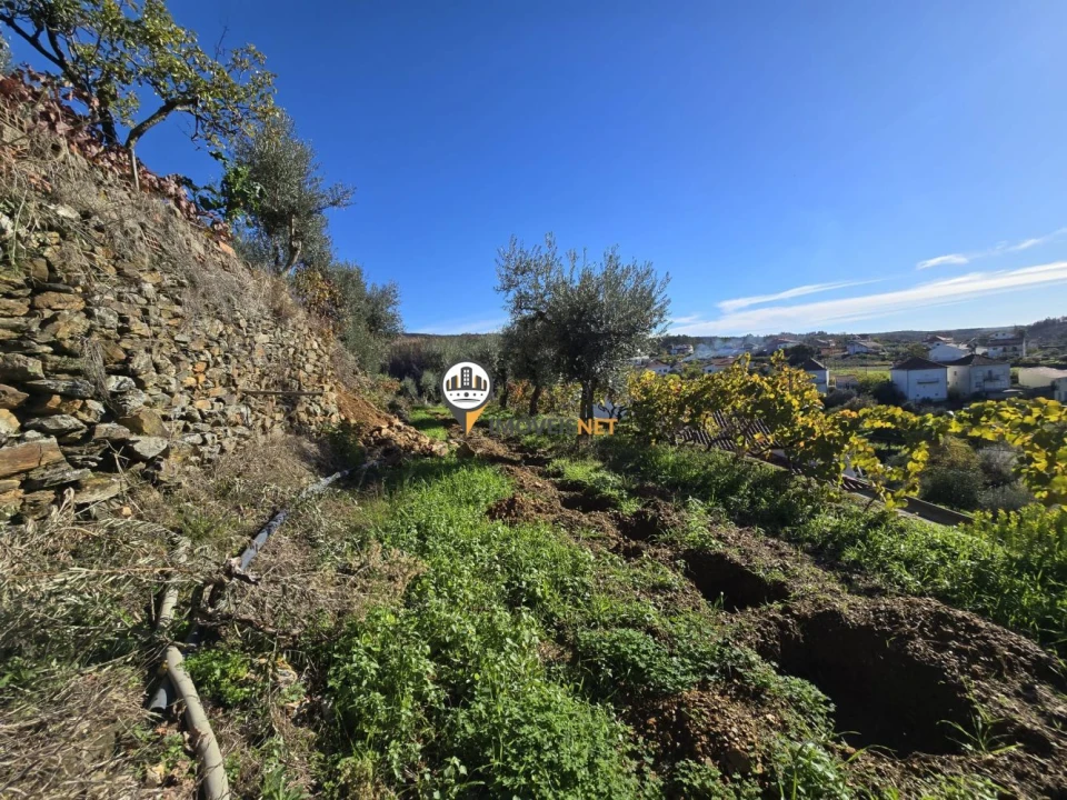 Moradia T6 para Venda em São Vicente da Beira Foto 3