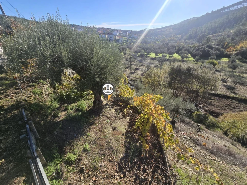 Moradia T6 para Venda em São Vicente da Beira Foto 36
