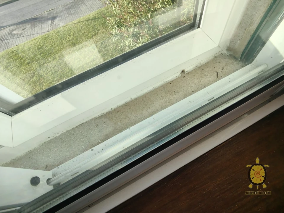 Apartamento T2 para Venda em Gafanha da Boa Hora Foto 18