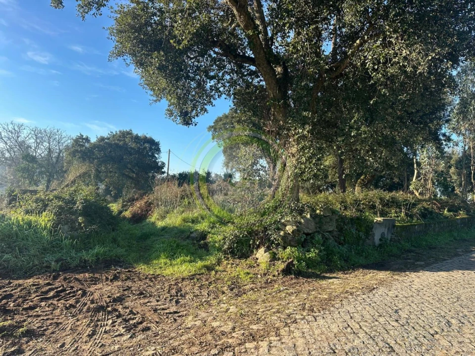 Terreno para Venda em Gemeses Foto 1