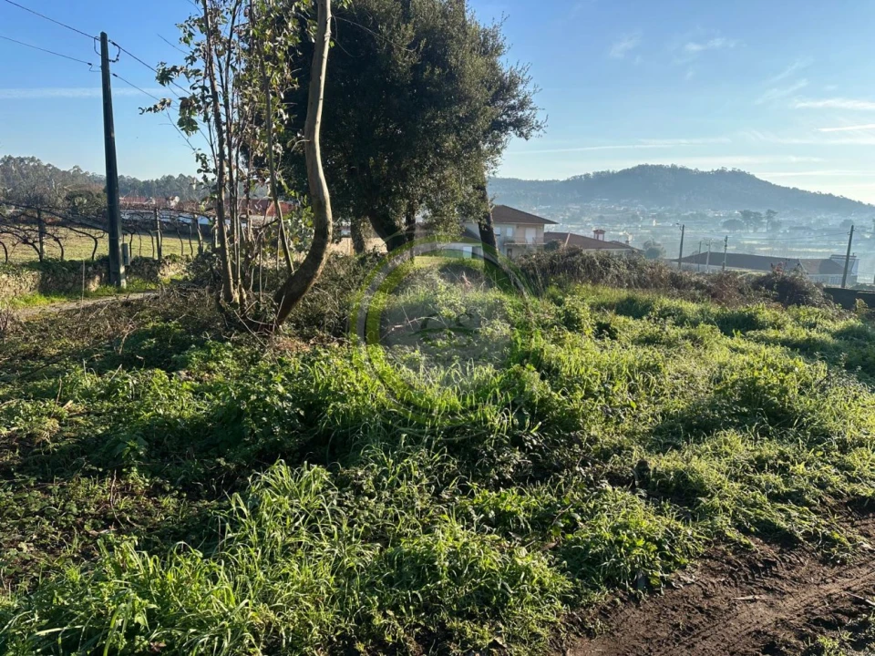 Terreno para Venda em Gemeses Foto 2
