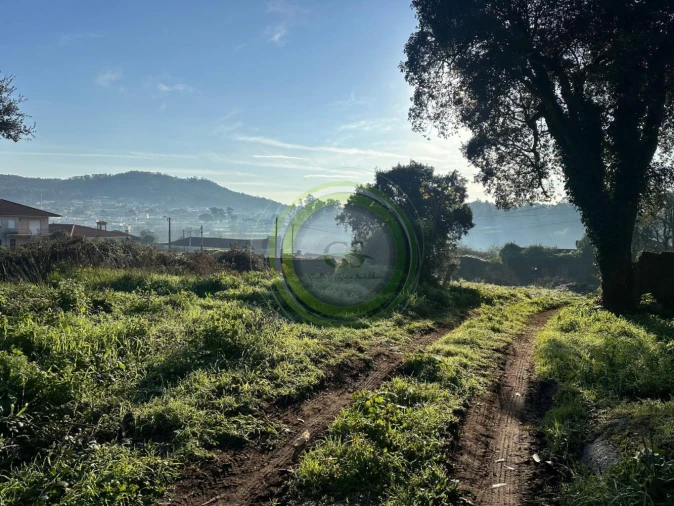 Terreno para Venda em Gemeses Foto 3
