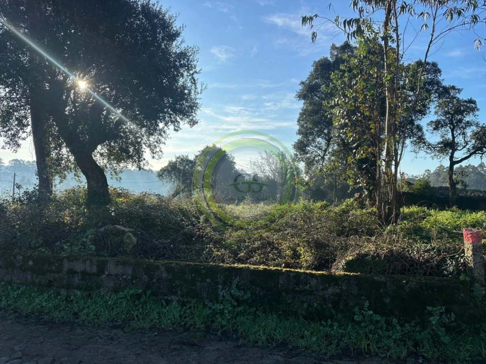Terreno para Venda em Gemeses Foto 4