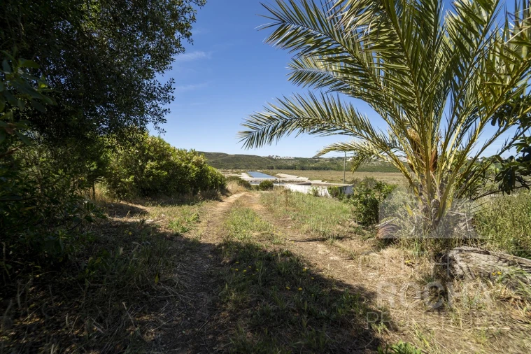 Quinta T2 para Venda em Aljezur Foto 21