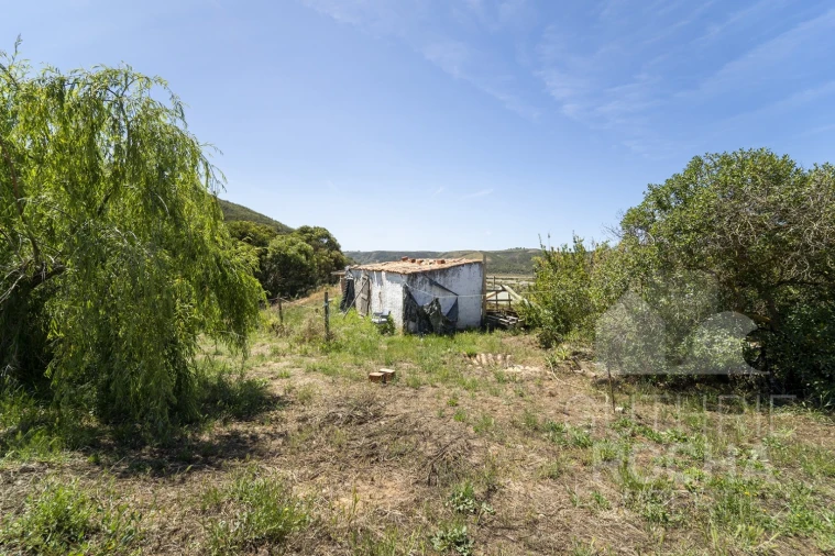 Quinta T2 para Venda em Aljezur Foto 14