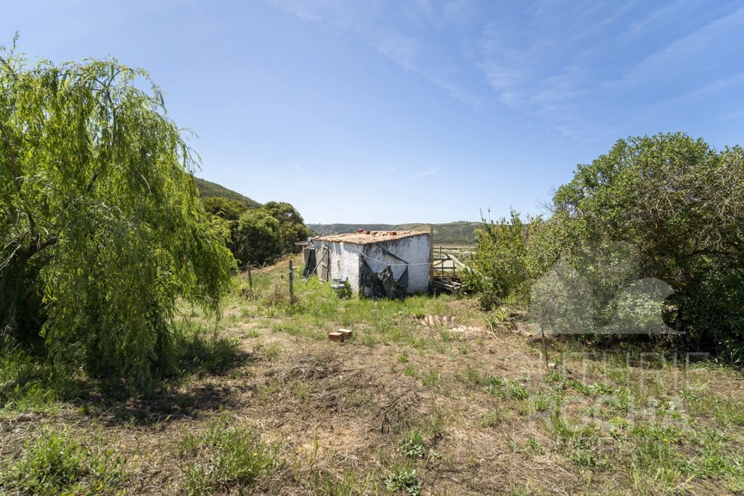 Quinta T2 para Venda em Aljezur Foto 14