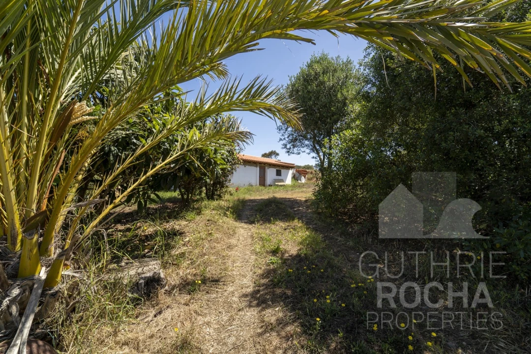 Quinta T2 para Venda em Aljezur Foto 9