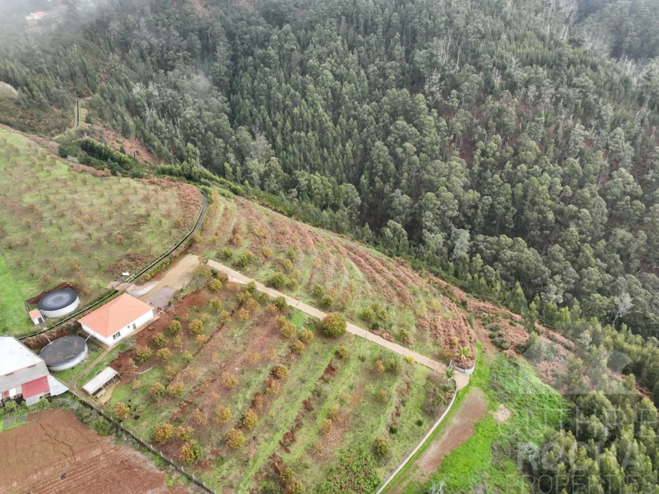 Loja para Venda em Prazeres Foto 2