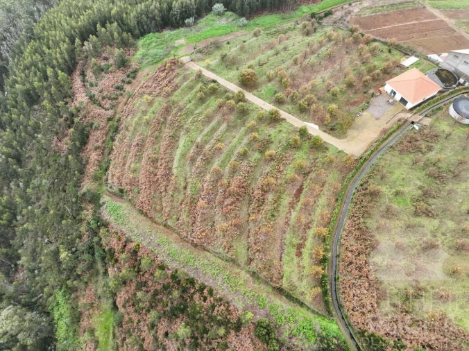 Loja para Venda em Prazeres Foto 7