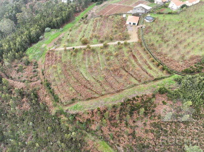 Loja para Venda em Prazeres Foto 4
