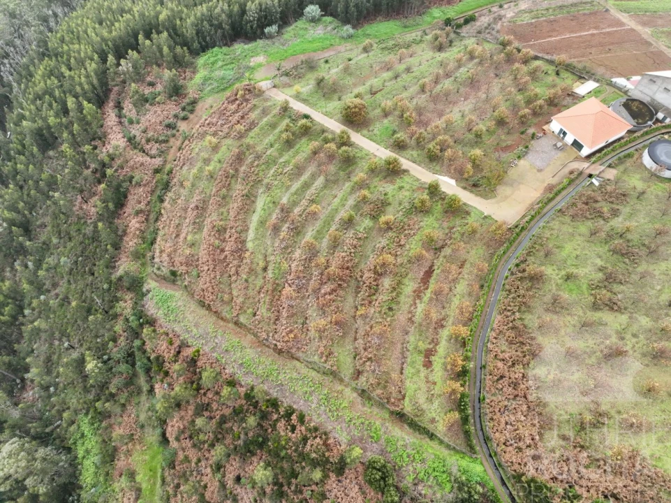 Loja para Venda em Prazeres Foto 7
