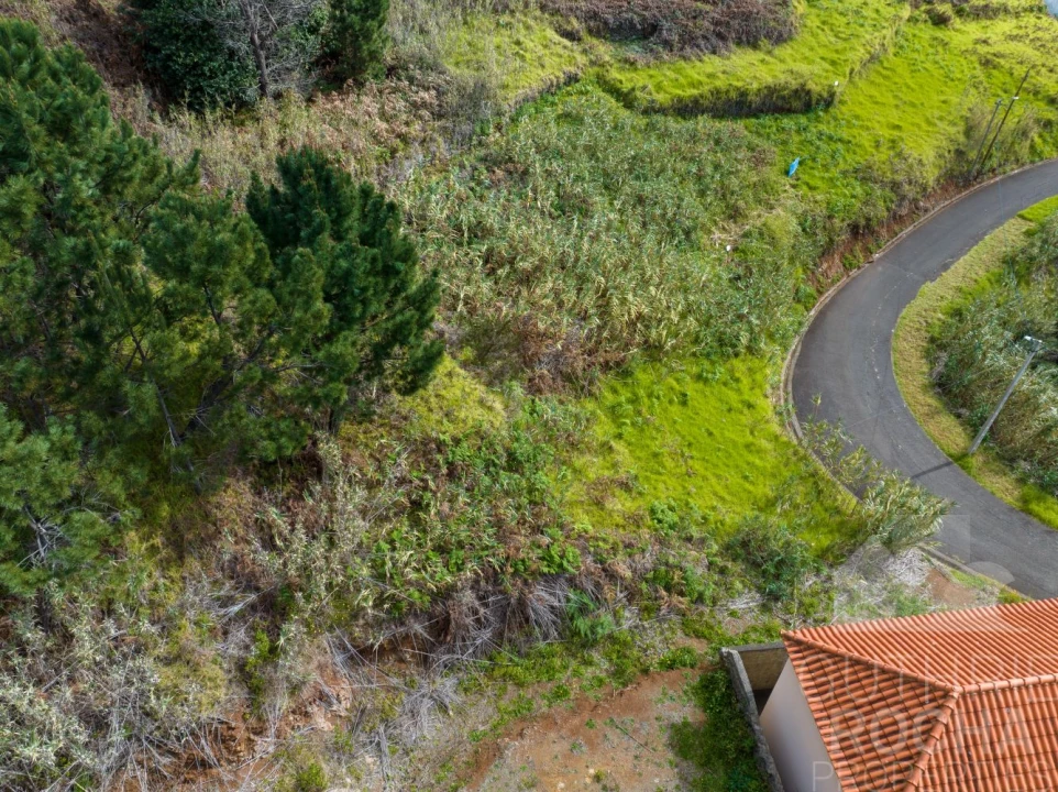 Terreno para Venda em Prazeres Foto 4