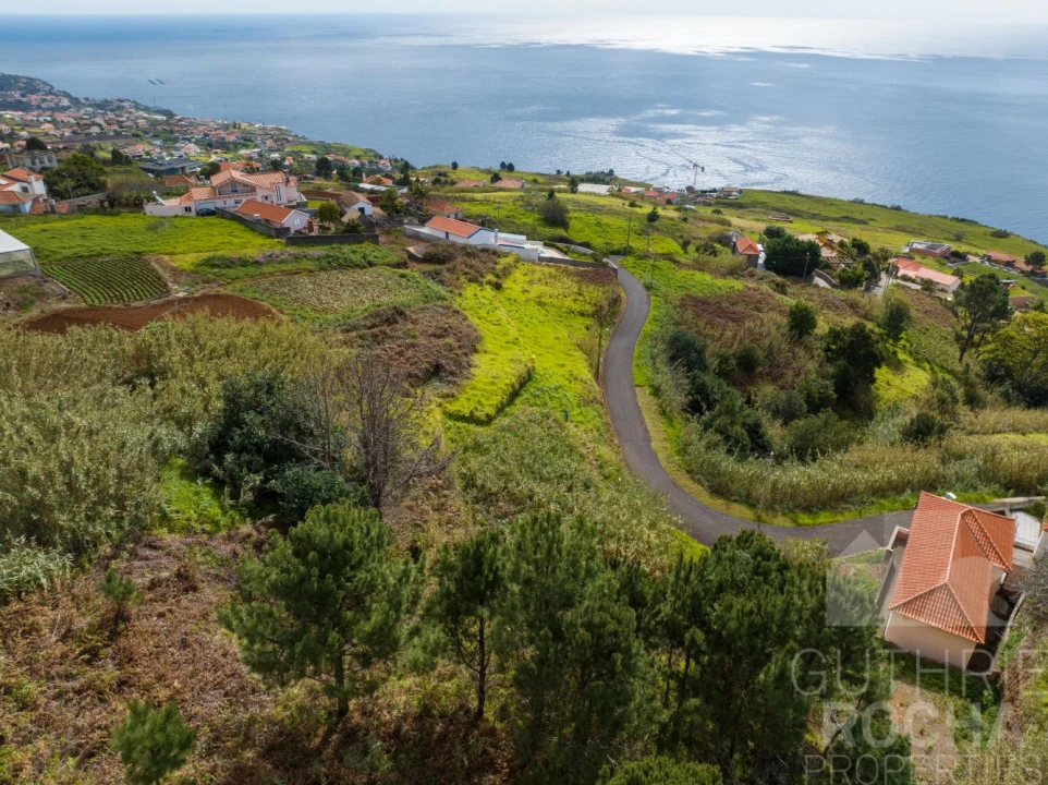 Terreno para Venda em Prazeres Foto 5