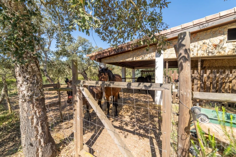 Moradia T5 para Venda em Aljezur Foto 47