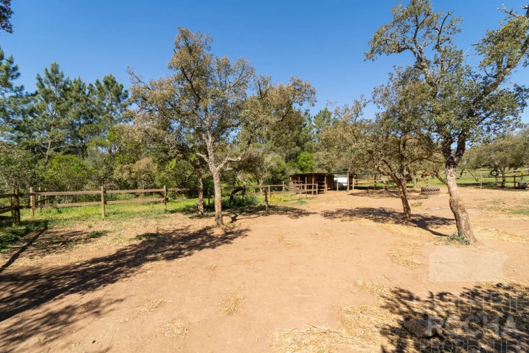 Moradia T5 para Venda em Aljezur Foto 56