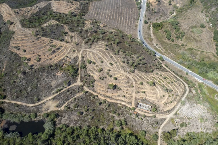 Terreno para Venda em Aljezur Foto 10