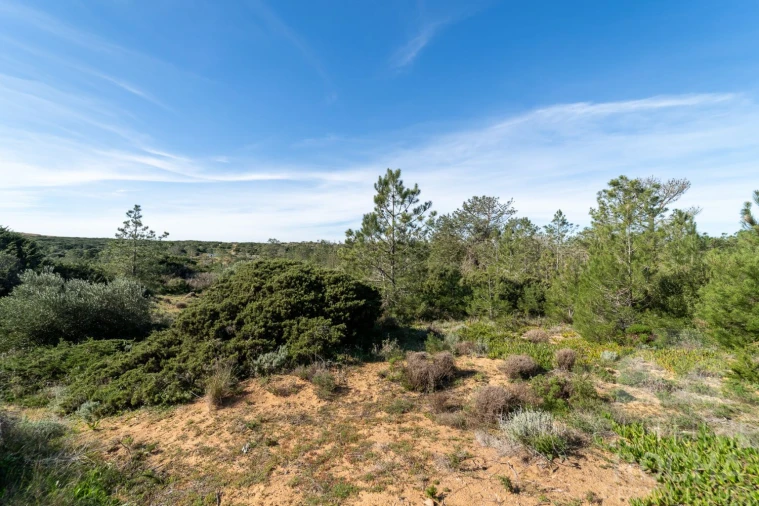 Terreno para Venda em Bordeira Foto 9