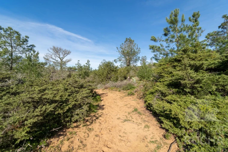 Terreno para Venda em Bordeira Foto 10