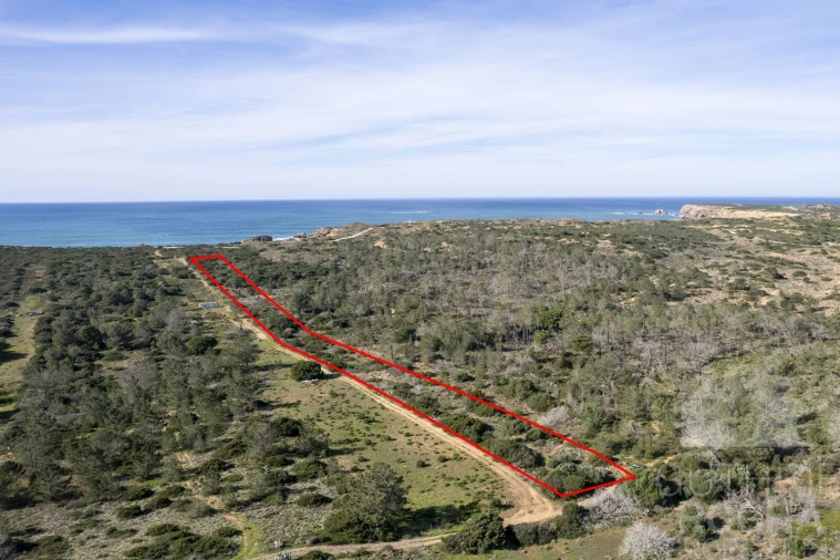 Terreno para Venda em Bordeira Foto 5