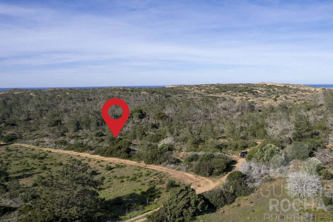 Terreno para Venda em Bordeira Foto 2