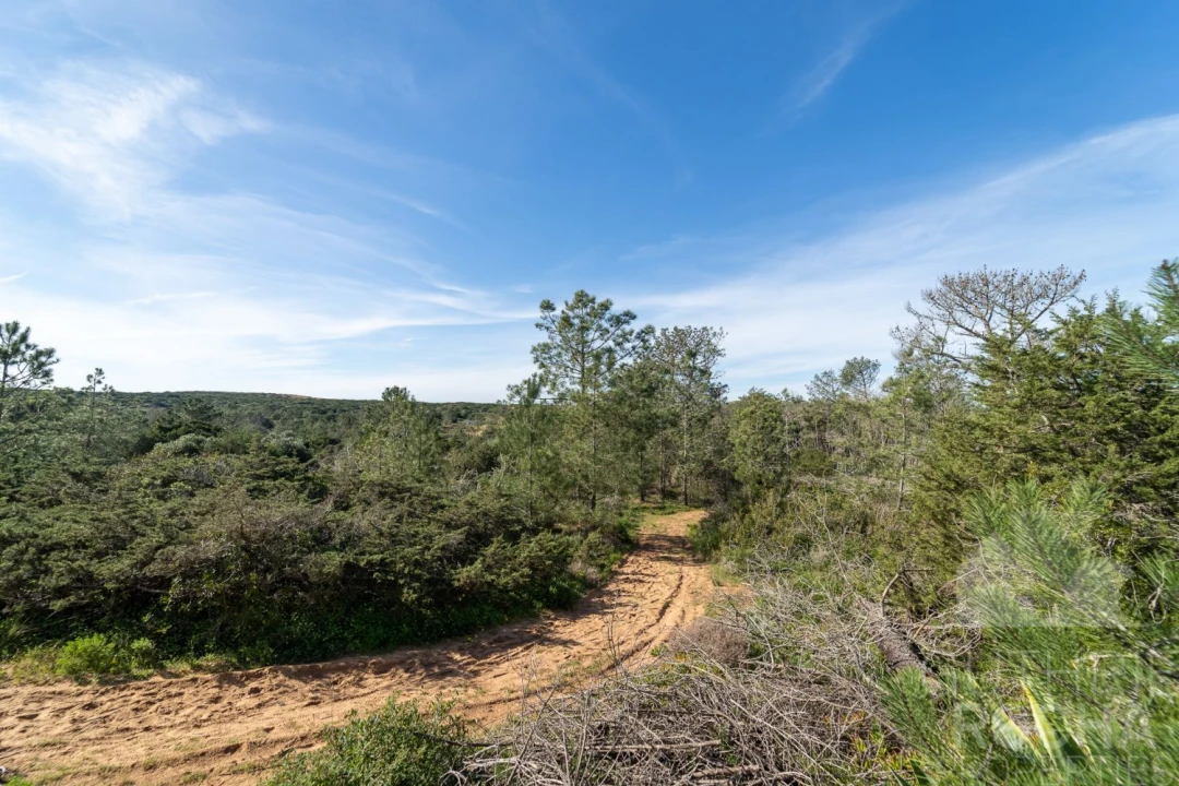 Terreno para Venda em Bordeira Foto 11