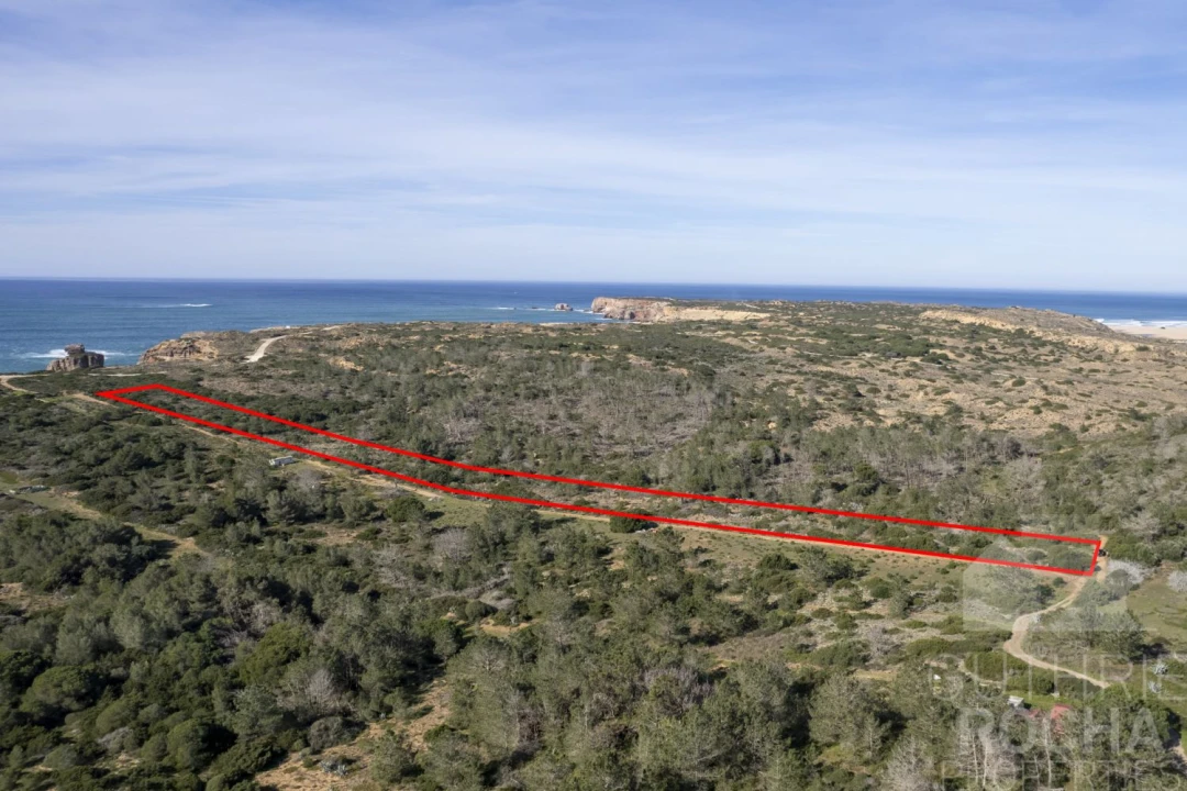 Terreno para Venda em Bordeira Foto 8