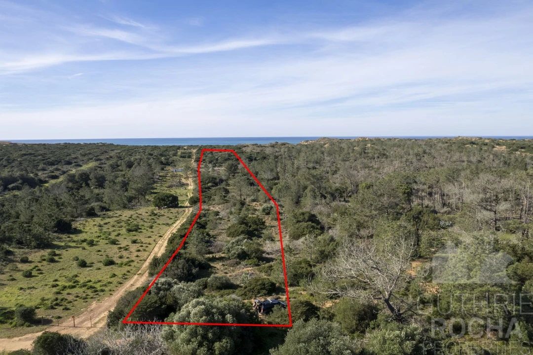 Terreno para Venda em Bordeira Foto 3