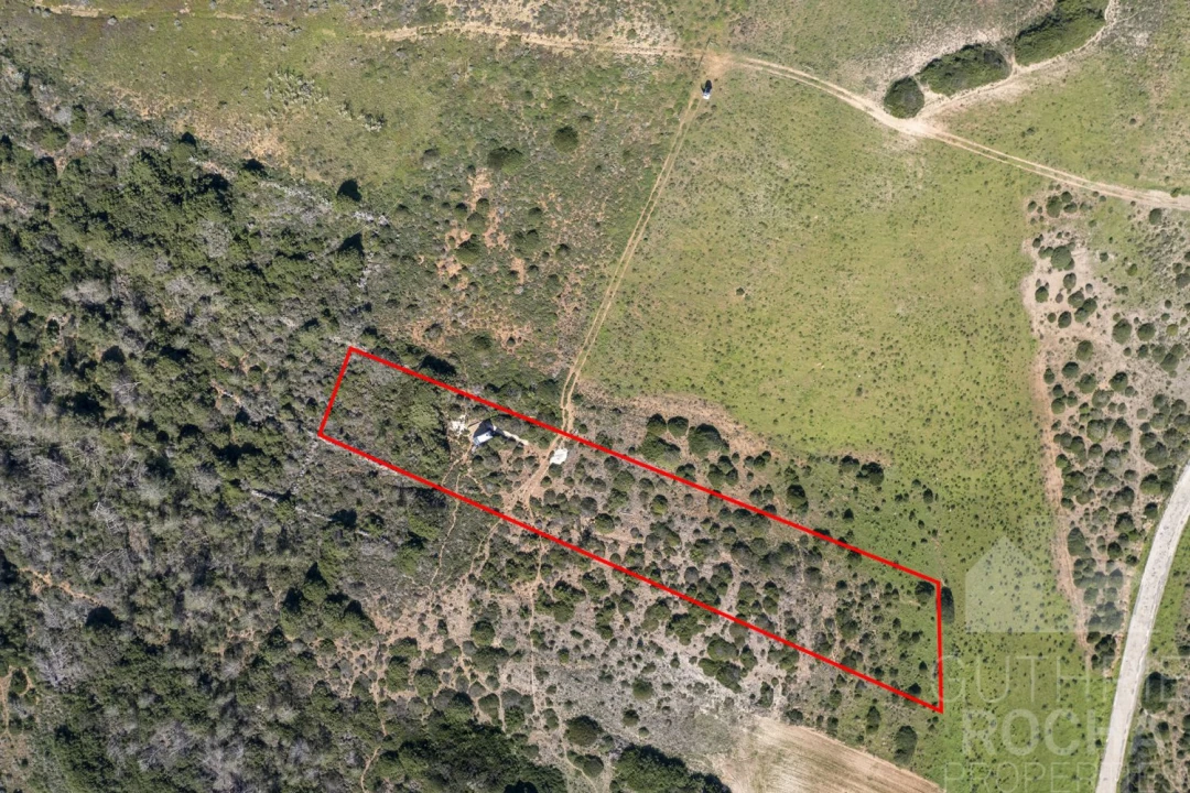 Terreno para Venda em Bordeira Foto 13