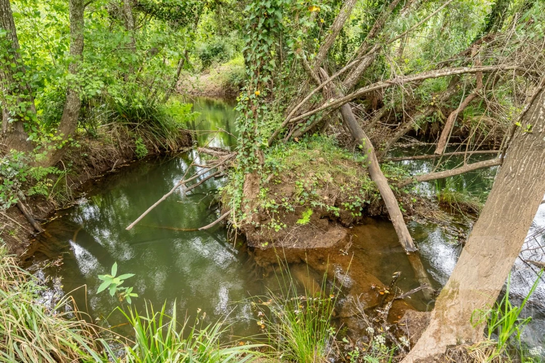 Moradia T4 para Venda em São Teotónio Foto 42