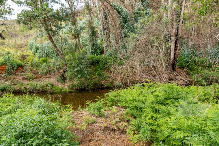 Moradia T4 para Venda em São Teotónio Foto 38