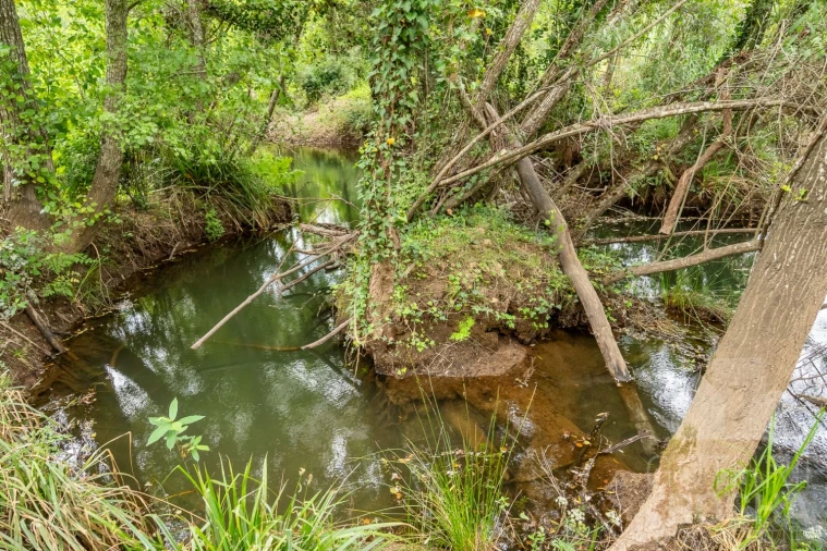 Moradia T4 para Venda em São Teotónio Foto 42