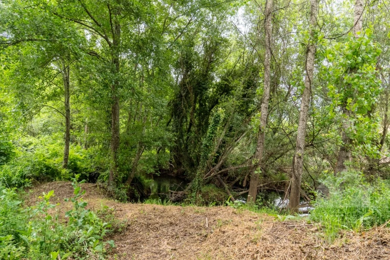 Moradia T4 para Venda em São Teotónio Foto 41