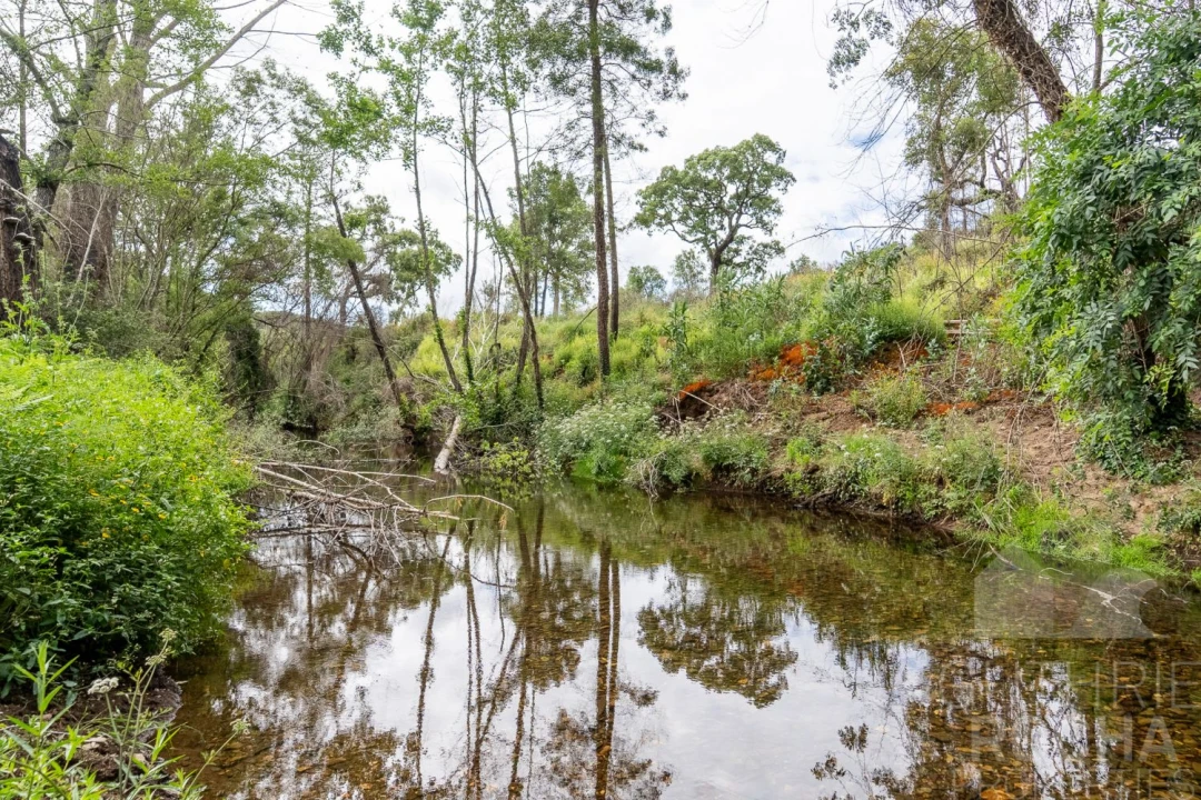 Moradia T4 para Venda em São Teotónio Foto 40