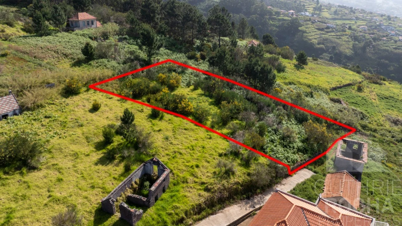 Terreno para Venda em Prazeres Foto 1