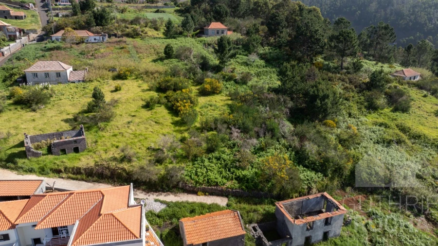 Terreno para Venda em Prazeres Foto 6