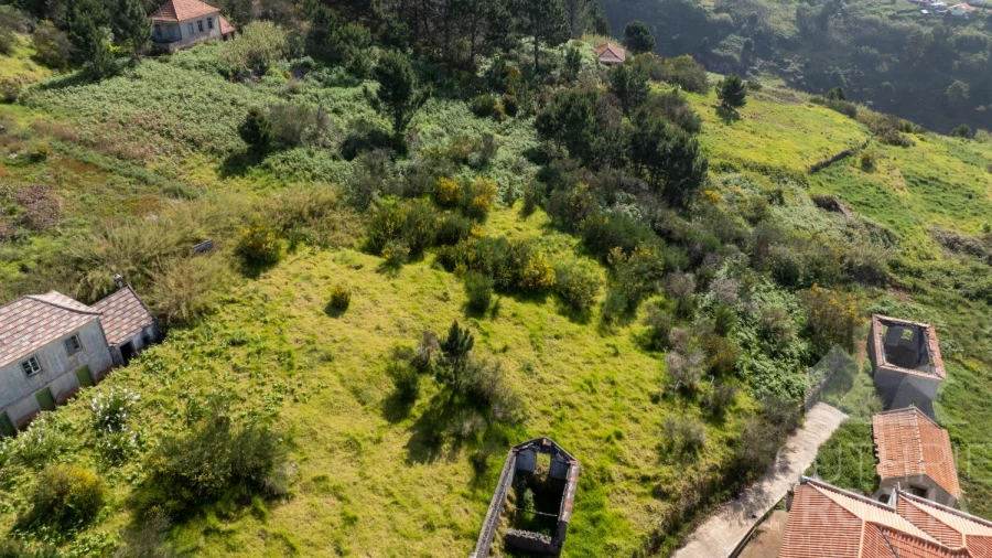 Terreno para Venda em Prazeres Foto 3