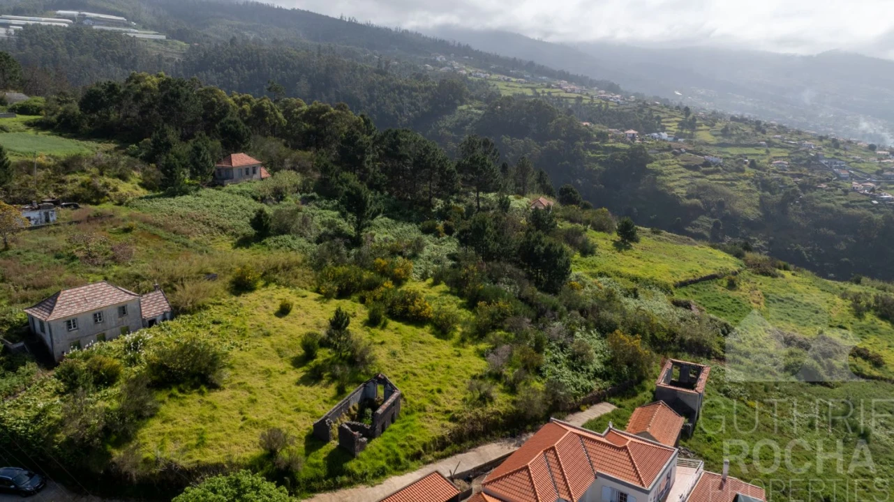 Terreno para Venda em Prazeres Foto 5