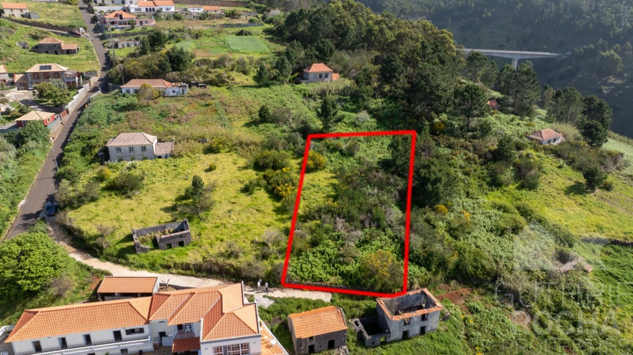 Terreno para Venda em Prazeres Foto 8