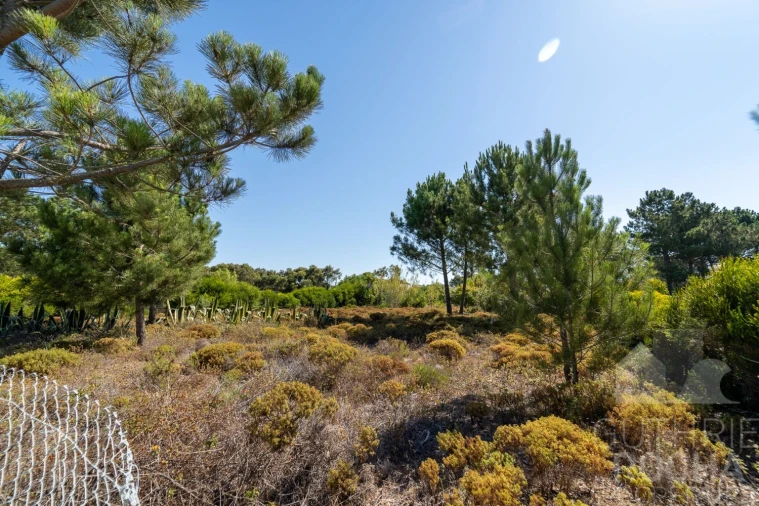 Terreno para Venda em Aljezur Foto 5