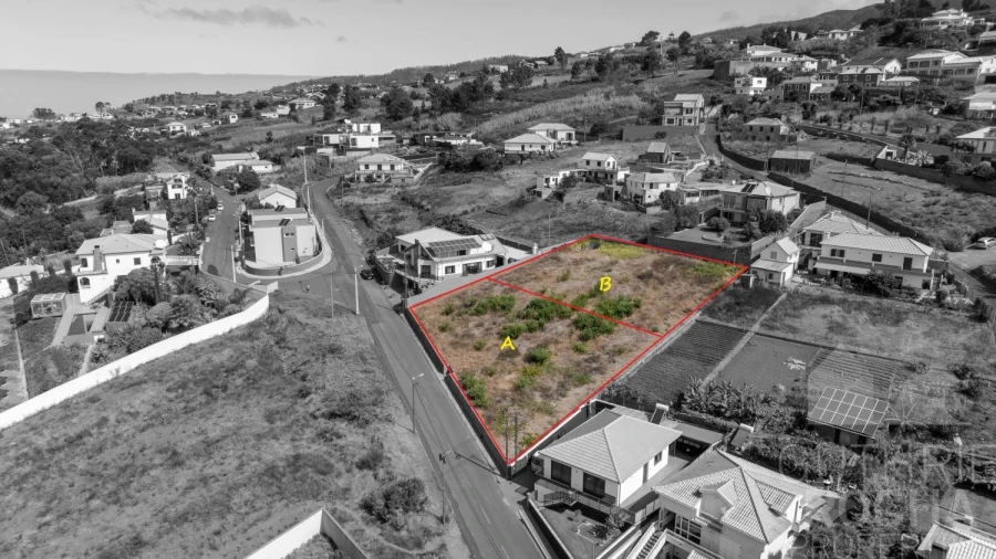 Terreno para Venda em Prazeres Foto 3