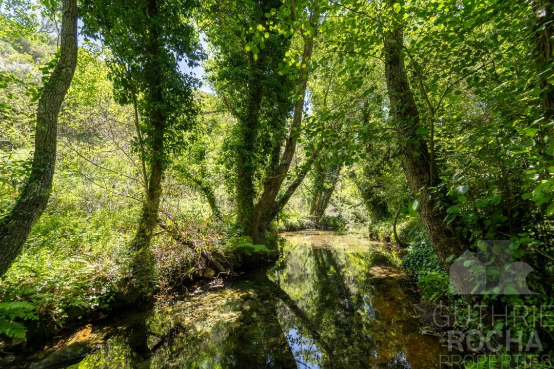Quinta T3 para Venda em Aljezur Foto 7