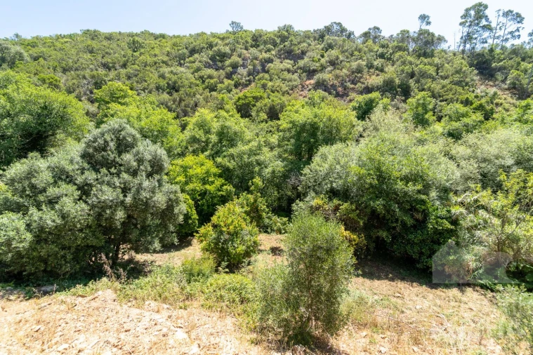 Quinta T3 para Venda em Aljezur Foto 30