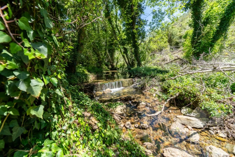 Quinta T3 para Venda em Aljezur Foto 6