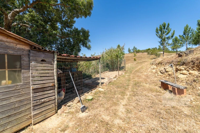 Quinta T3 para Venda em Aljezur Foto 34