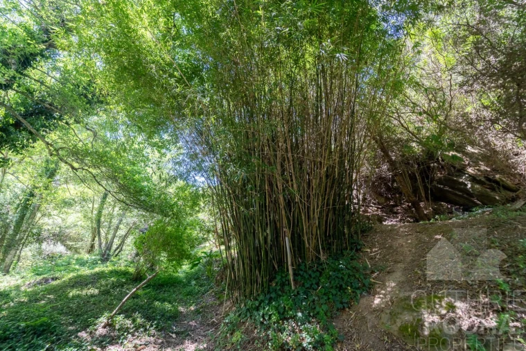 Quinta T3 para Venda em Aljezur Foto 25