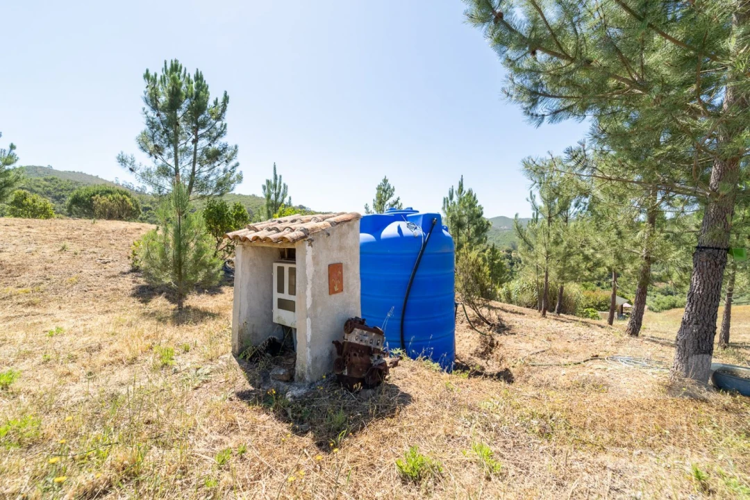 Quinta T3 para Venda em Aljezur Foto 33